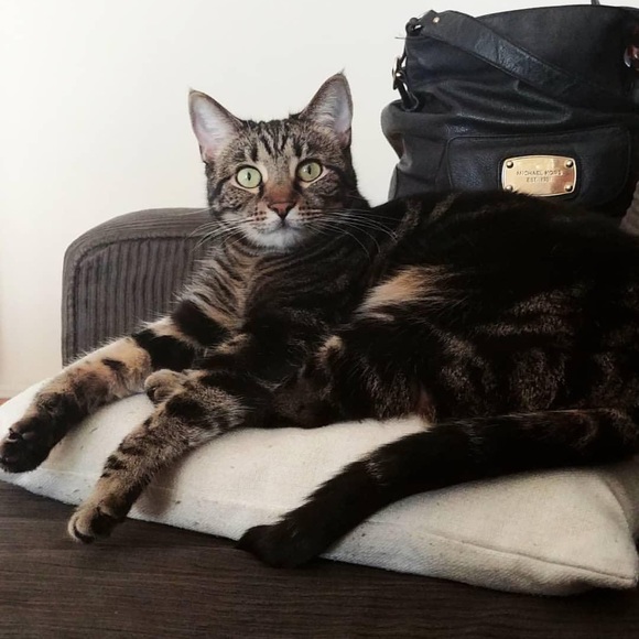 Meet your Posher, Emily - Picture 5 of 5